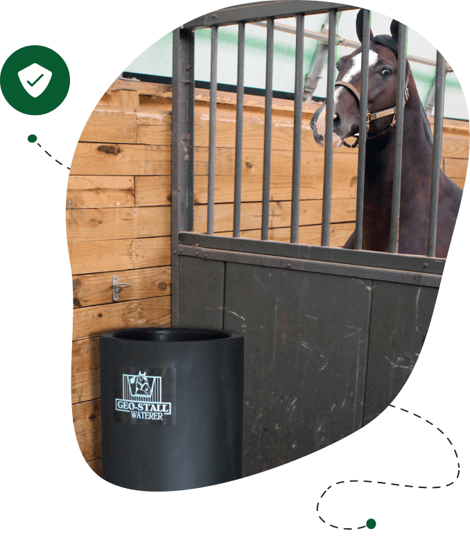 Horse in stall by Geo-Stall Waterer